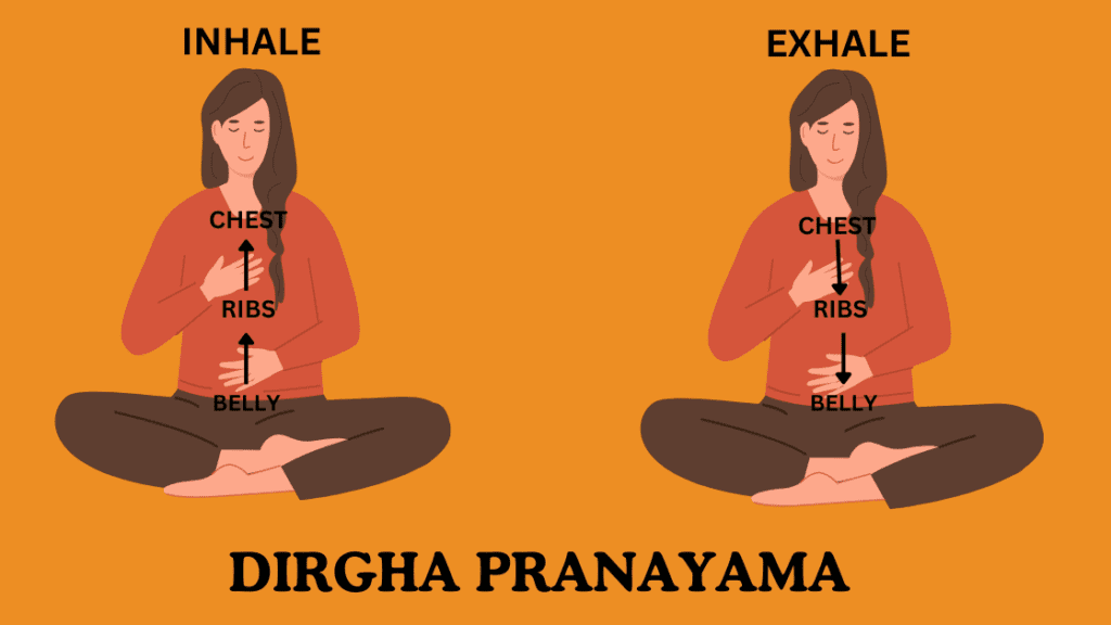 Dirgha Pranayama (Three-Part Breath)