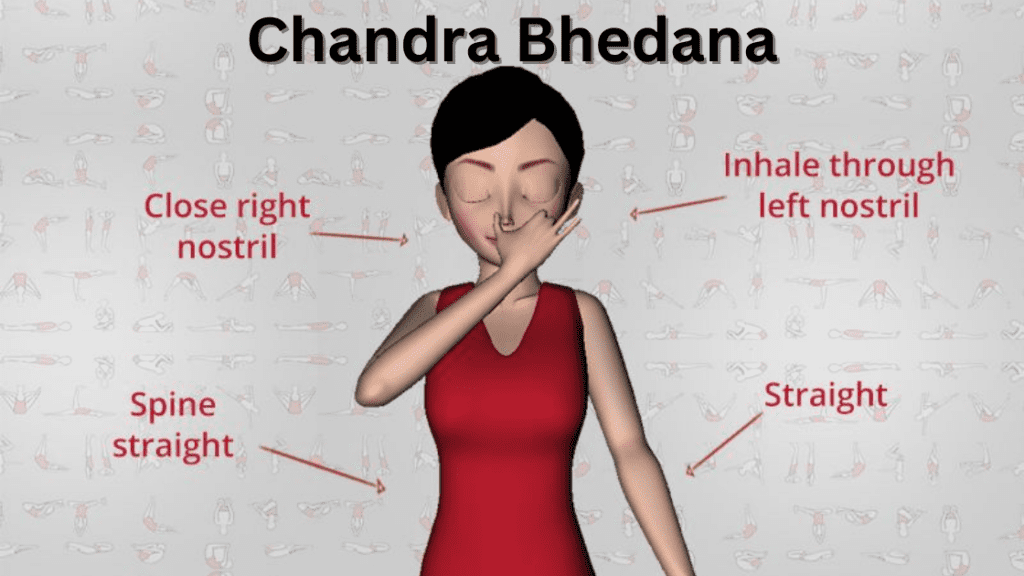 Chandra Bhedana Pranayama (Left Nostril Breathing)