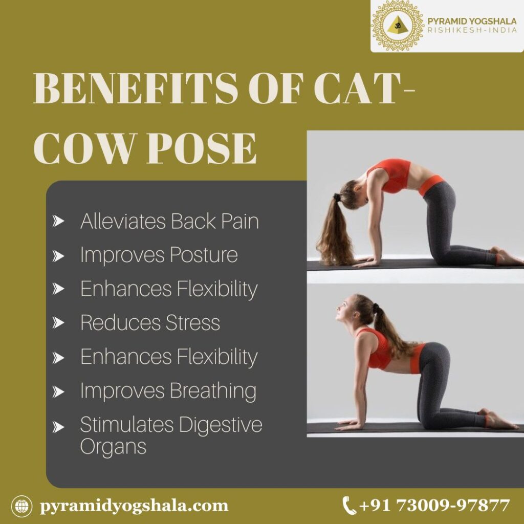 Benefits of Cat-Cow Pose
