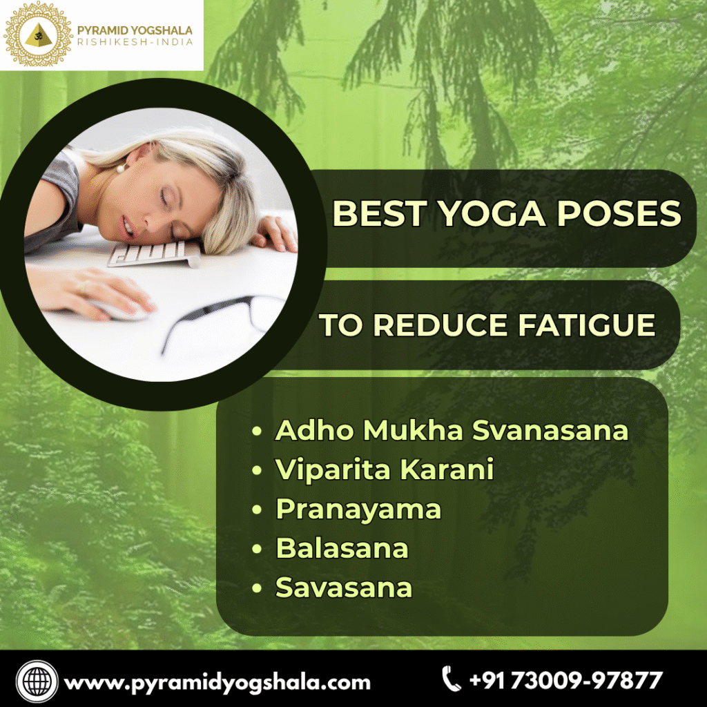 Tired All the Time? Best Yoga Techniques to Reduce Fatigue Naturally