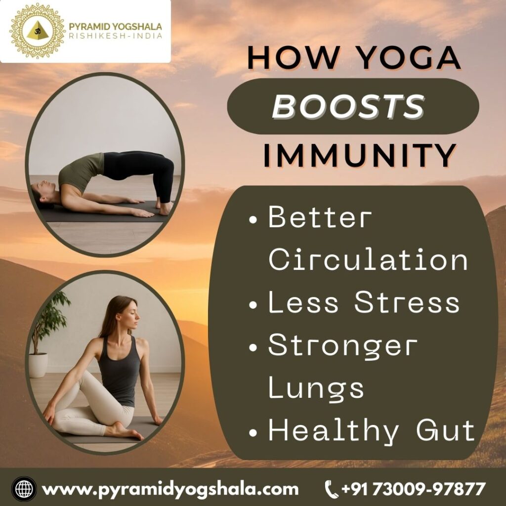How Yoga Boosts Immunity
