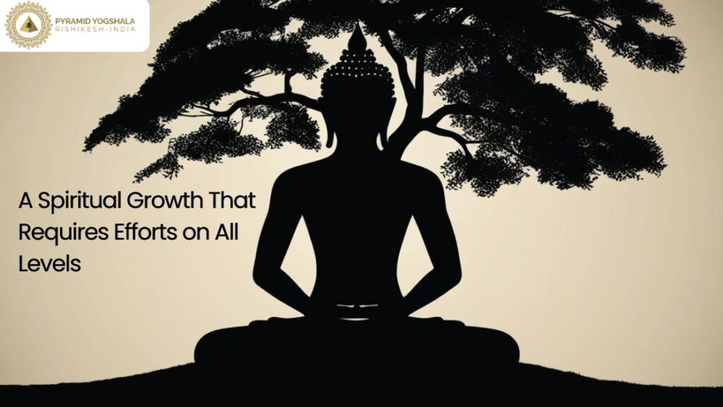 Spiritual Growth Demands Effort at Every Level